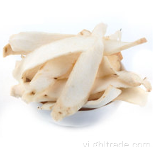 giá tốt của nhà máy Yam Knoffty